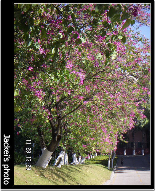 PICT6423