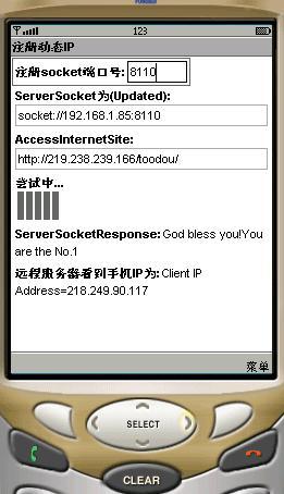 ServerSocketClient