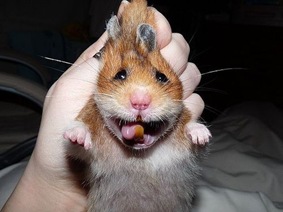 p899139407 p899139407