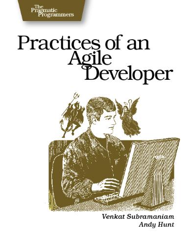 r_practices-agile-programmer.jpg