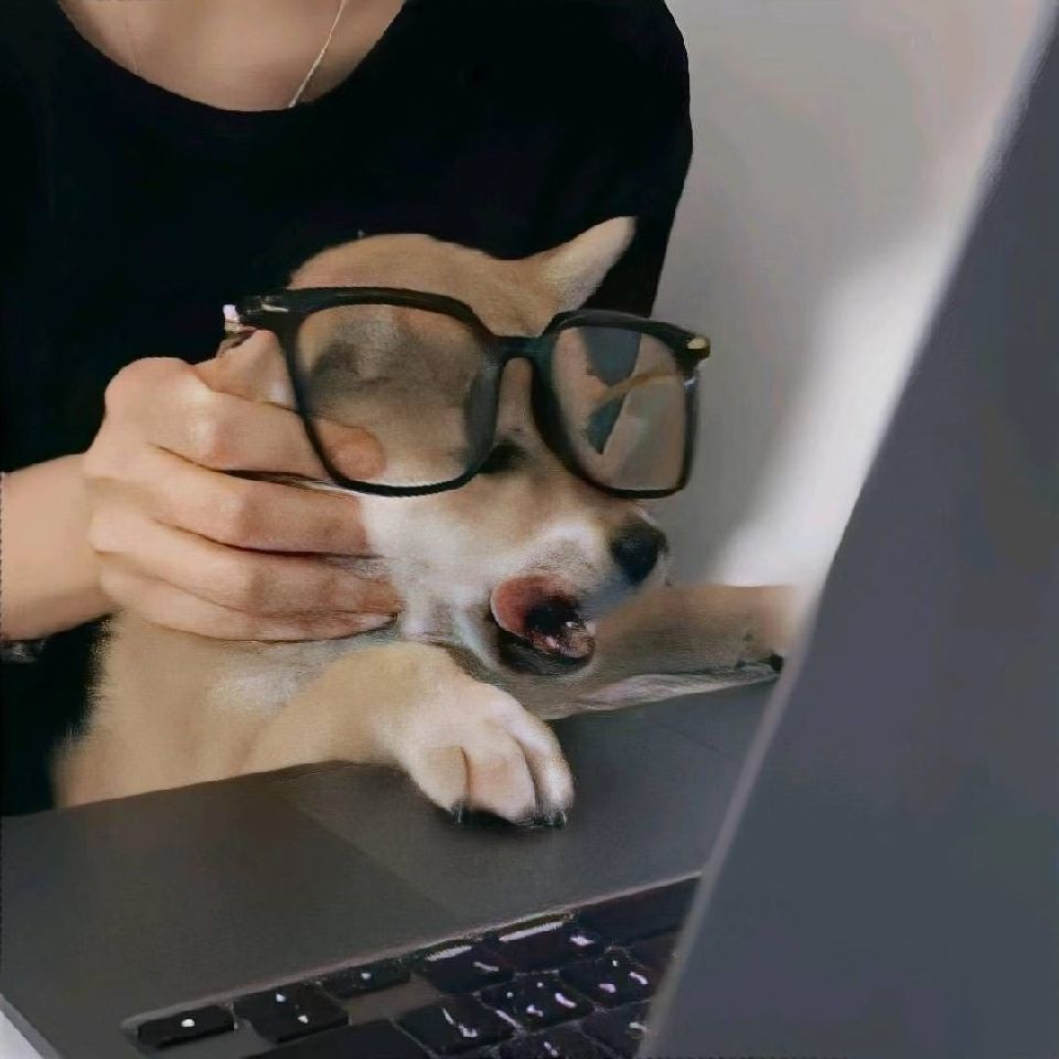 心岛未情的头像