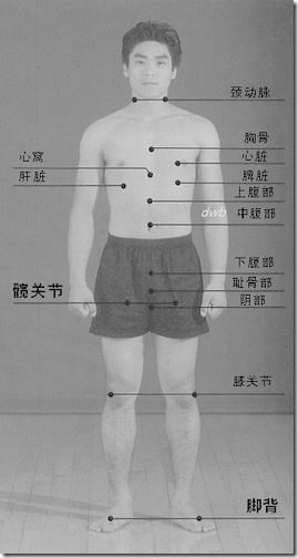 人体的36个致命部位图片