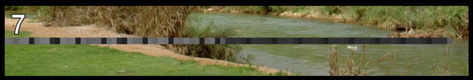 image-20200428192514854