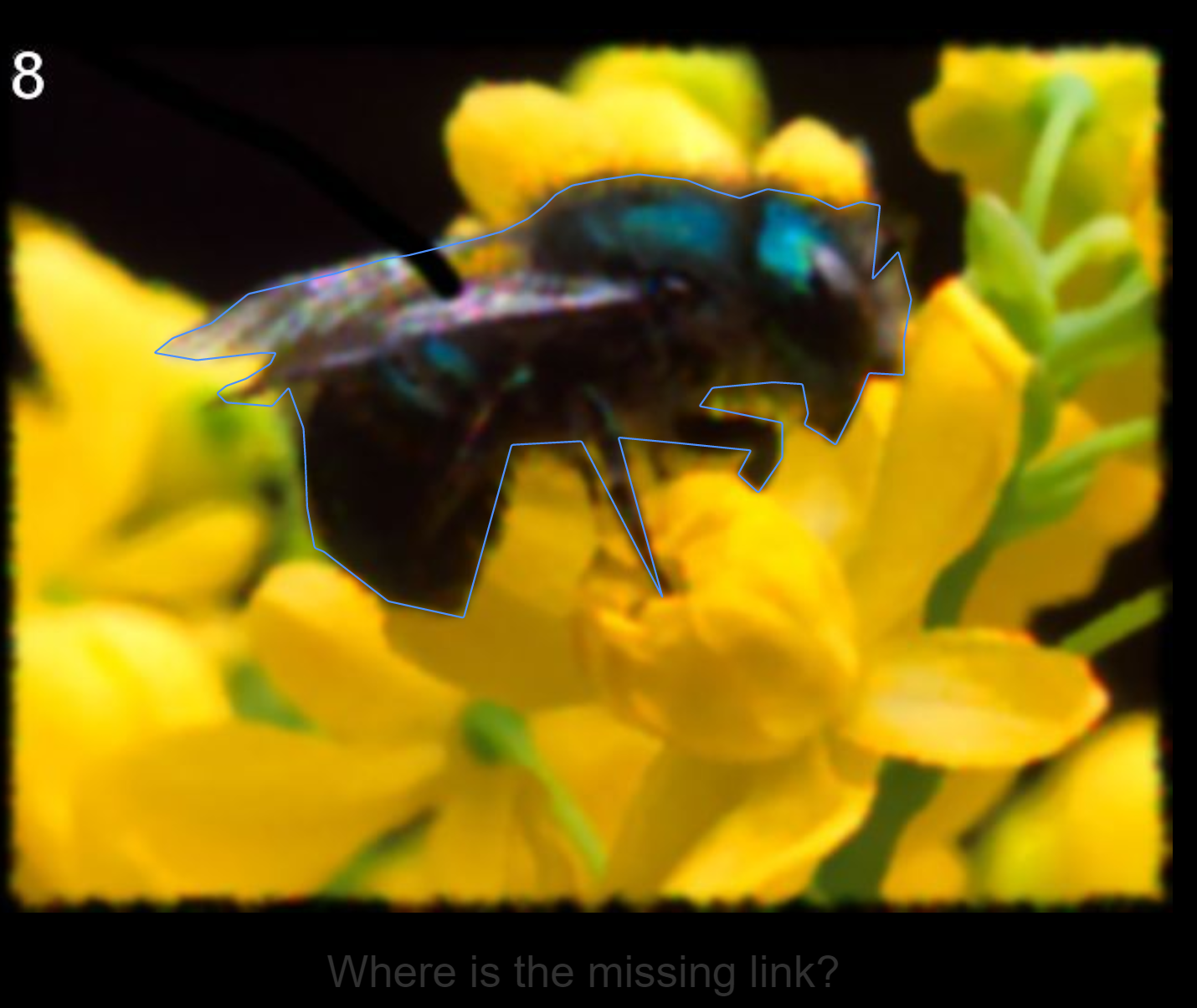 image-20200428221816209