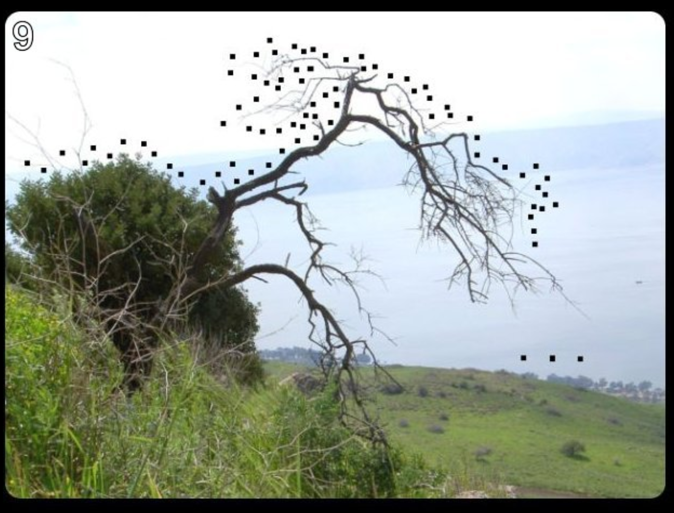 image-20200429093551254