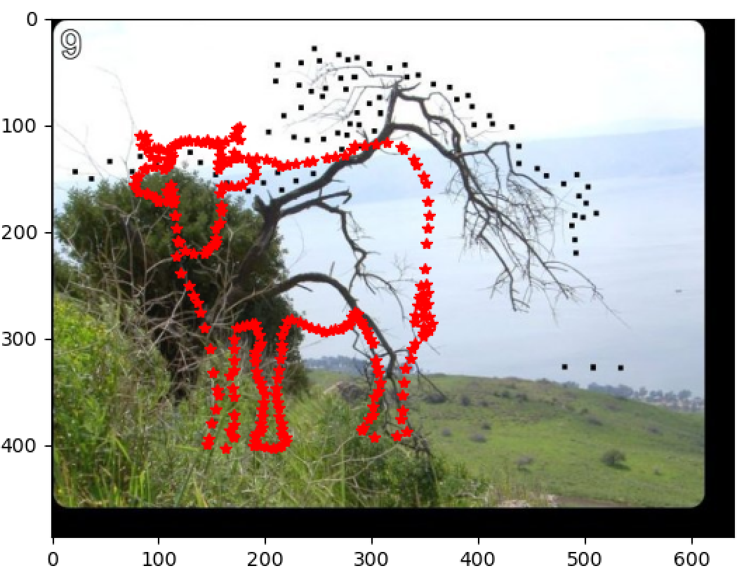 image-20200429093946691