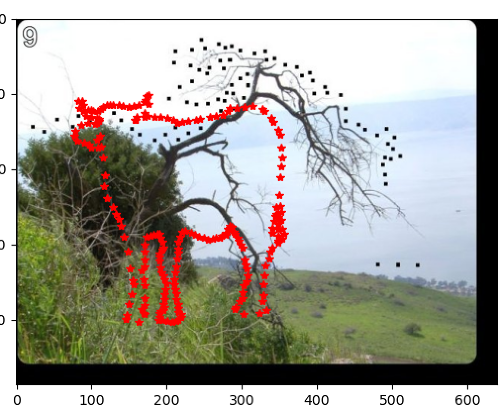 image-20200429093914290