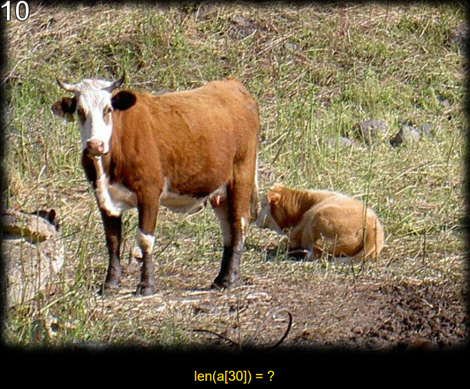 image-20200429094357342