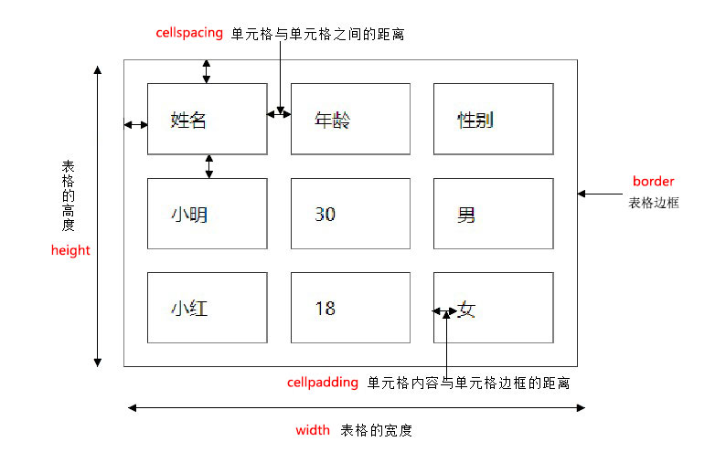 table表格属性