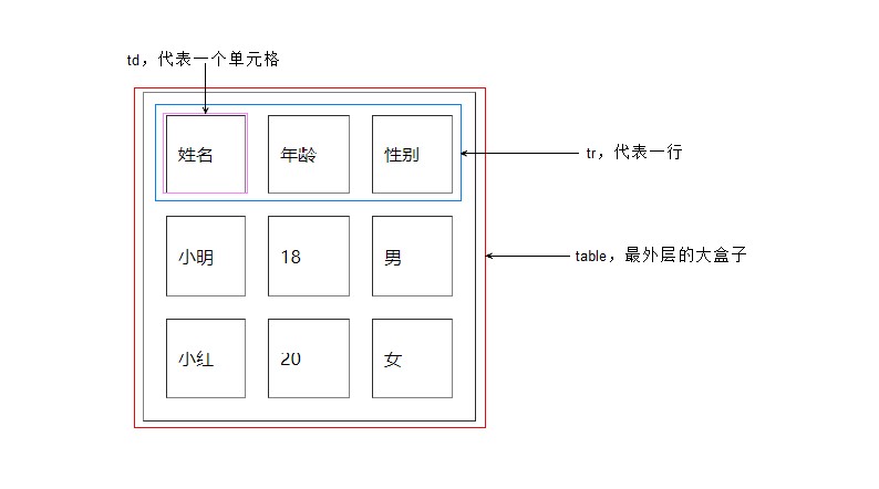 table基本结构