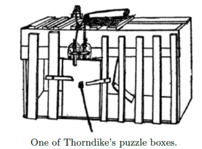 image-20240620132901871