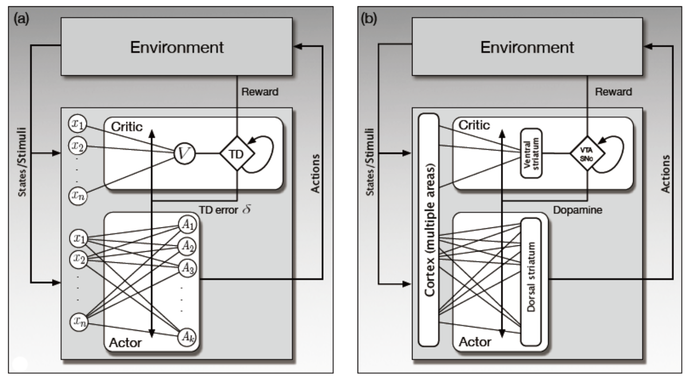 image-20240621155428076