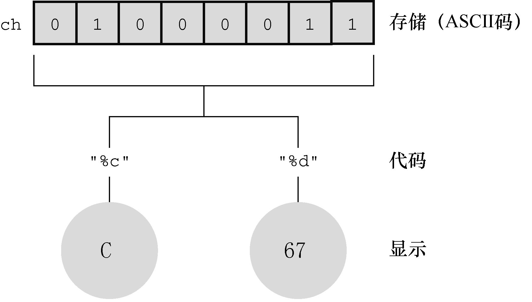 数据显示和数据存储