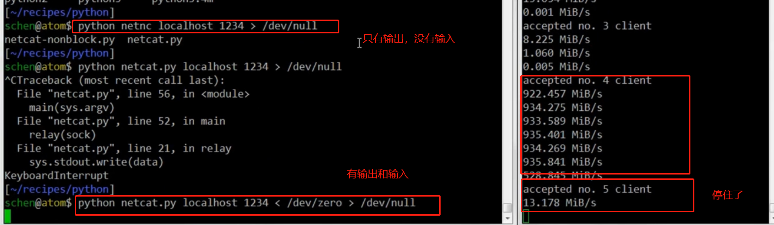 image-20230218113830748