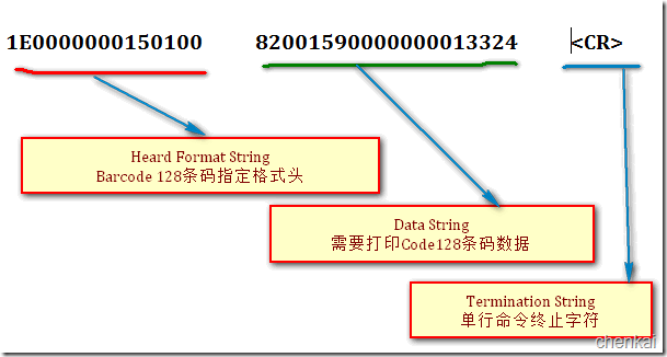 2010-12-14_143316