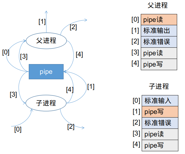 两个函数执行完毕后的文件描述符表状态