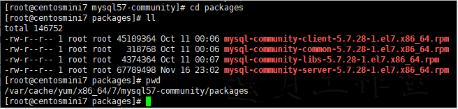 mysql_local