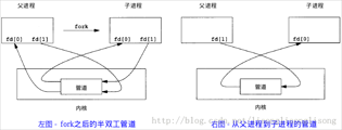 父子进程管道