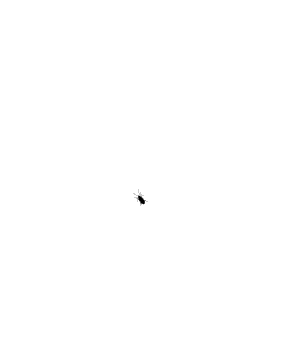 不要点我