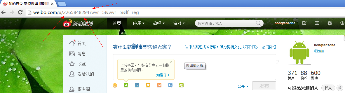 让你的网站拥有微博(weibo.com)关注图标