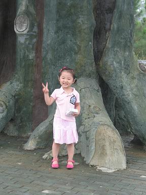 大树下的小典典