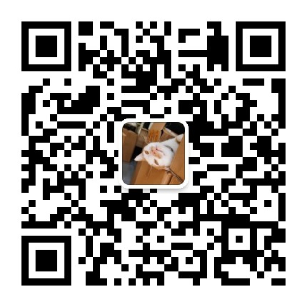 公众号【向南风】