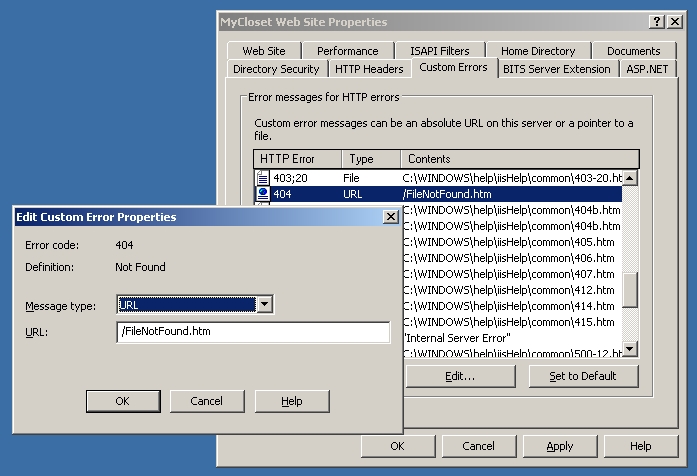 Custom Error in IIS