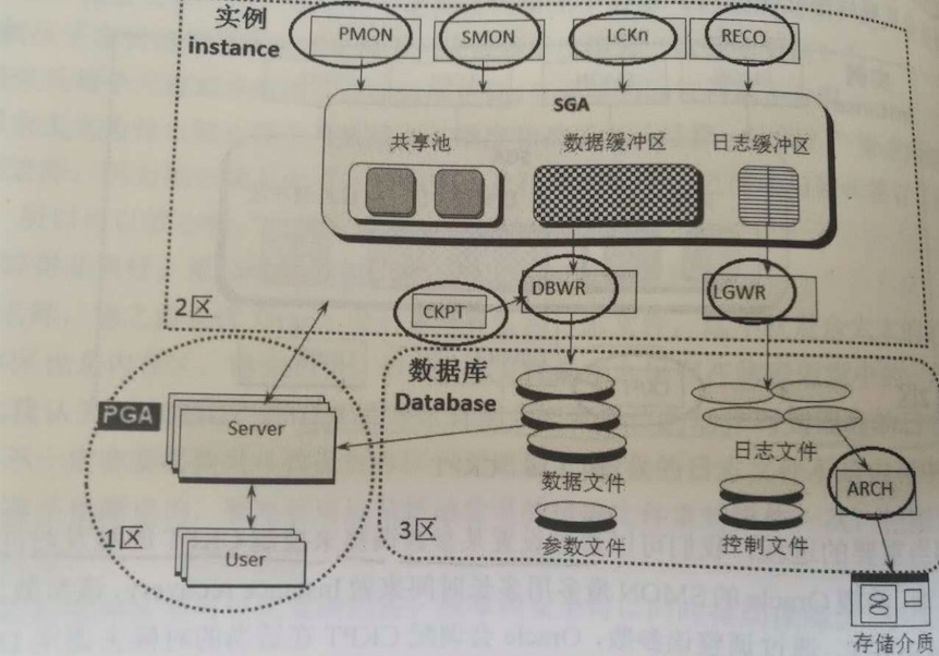 oracle体系结构图