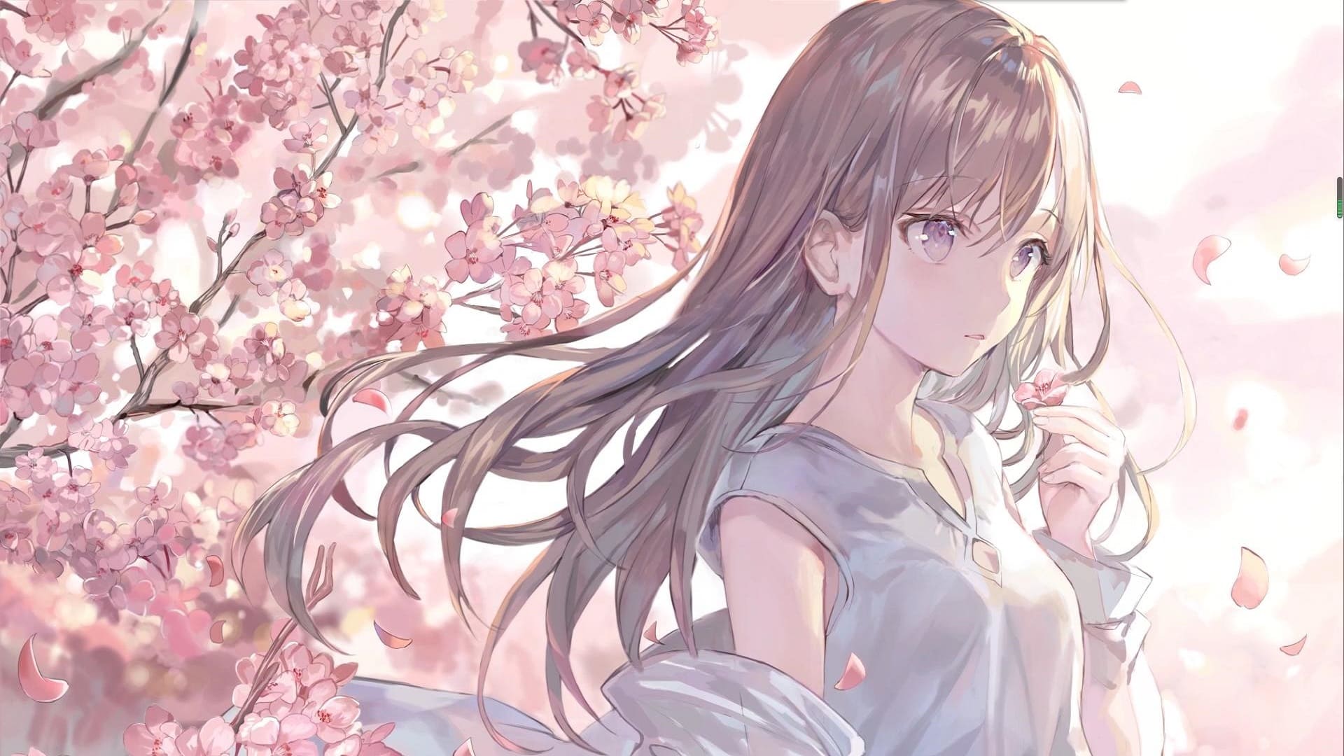 Sakura - 桜（complete） 作者：三步并两步