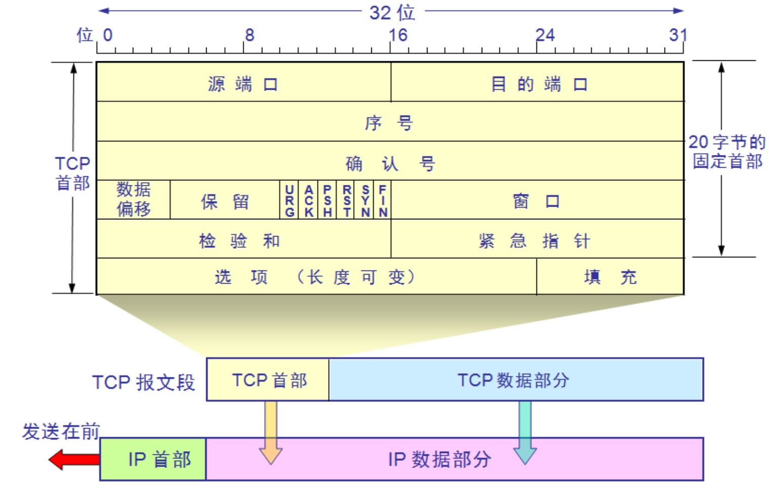 TCPhead