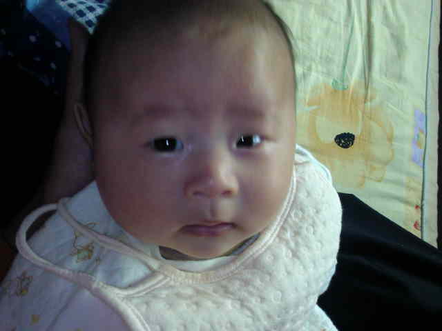 小眼睛发现新大陆