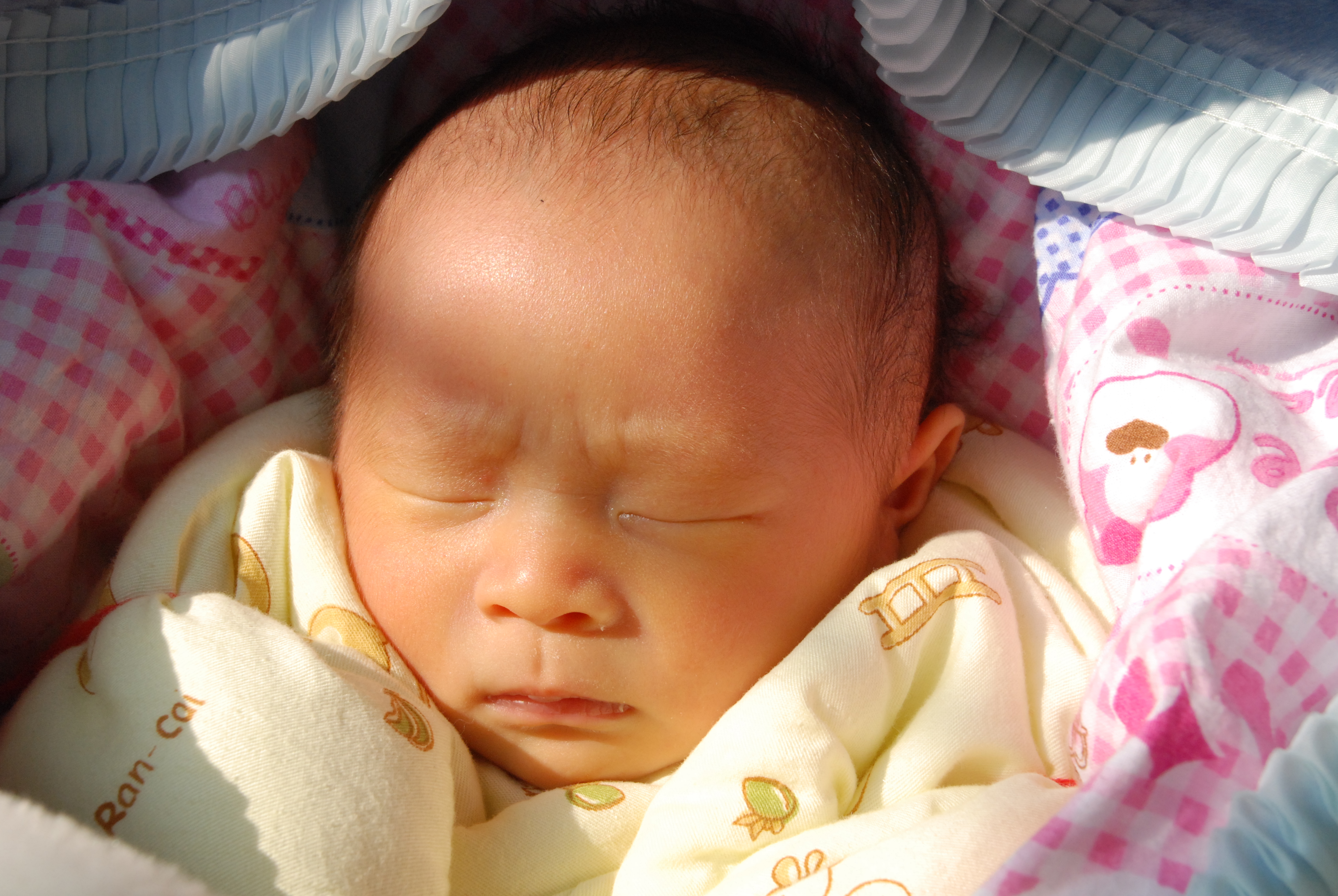 出生11天，为了灭黄疸，拿出来晒晒