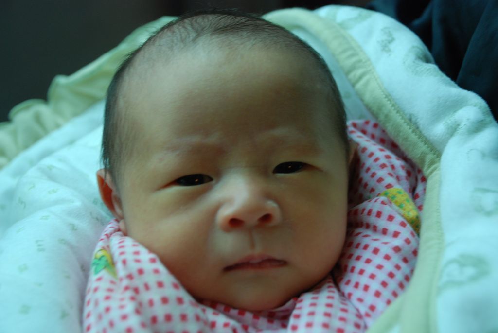 多多很生气，后果很严重