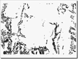 wps_clip_image-18755