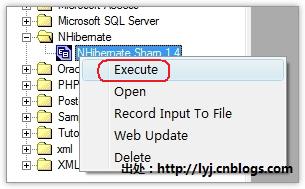 执行NHibernate Sharp1.4