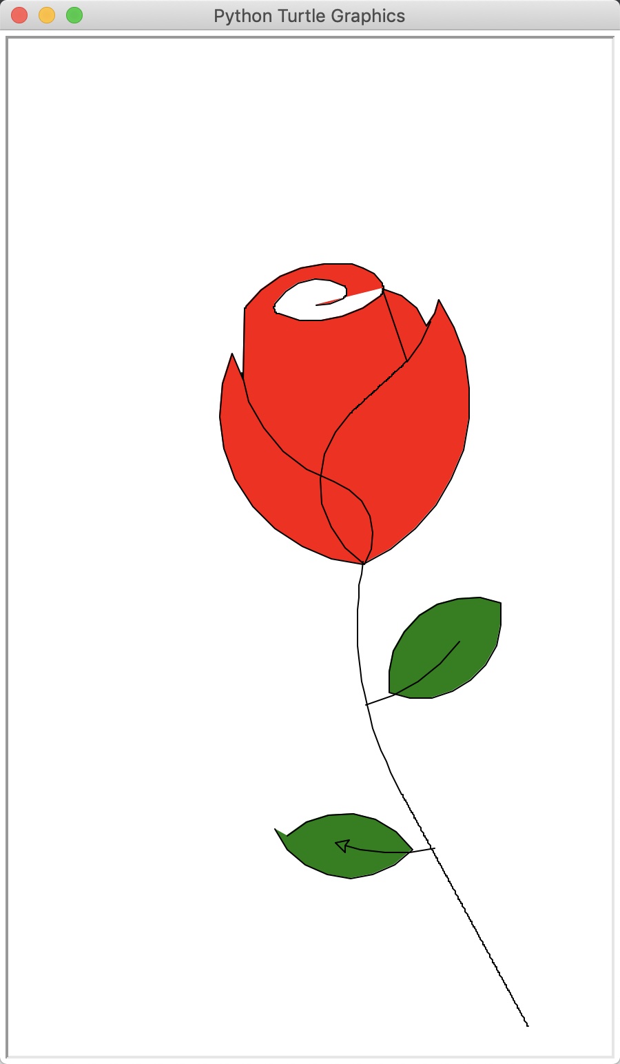 A01-玫瑰花.jpg