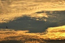 120223b2_DSC_0228_841424