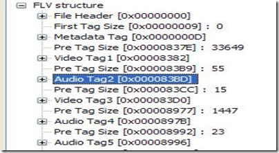 flv_struct