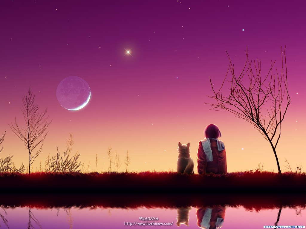 XP desktop - dream sky