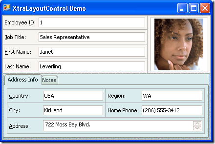 devexpress_2010_7_28_2