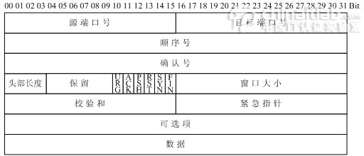 ip头部结构