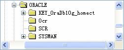 1.Oracle10g安装第21张