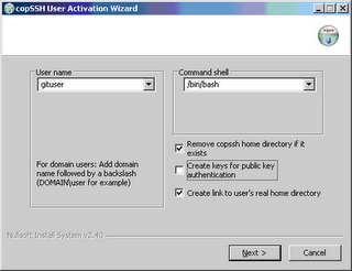 Setup a Git server on Windows machine, with MSysGit and CopSSH(使用 ...