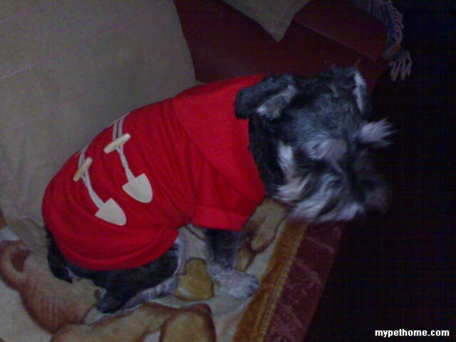 我最喜欢的嫦娥MM