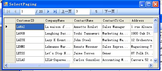 SelectPaging.JPG