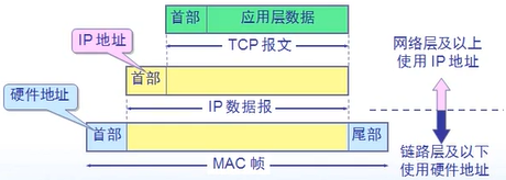 IP地址和MAC地址