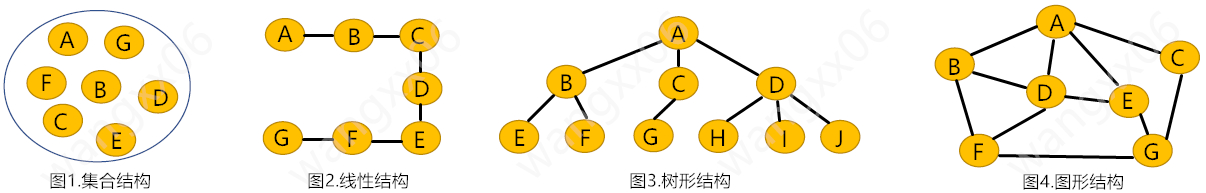 逻辑结构