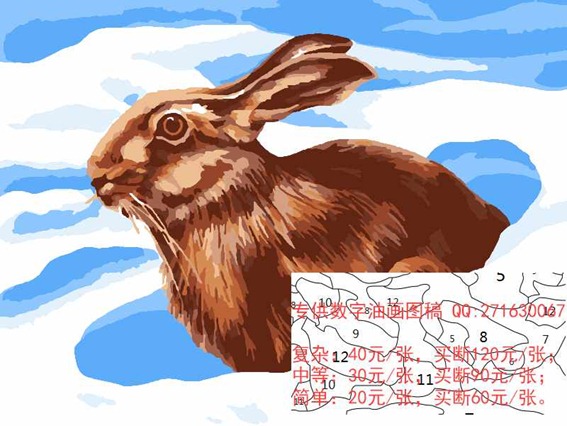 动物_兔子_12色_40×50_效果图