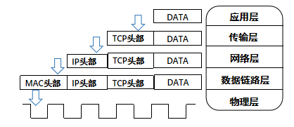 网络