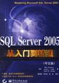 SQL Server 2005从入门精通（中文版）